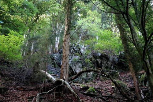 04sept_Connest_11 - Xavier Delfosse