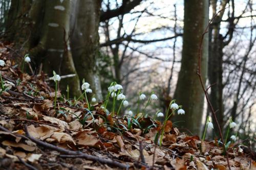 06Mars_Monteynard_4 - Xavier Delfosse