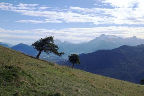 13Nov_MonteynardConnest_19 - Xavier Delfosse