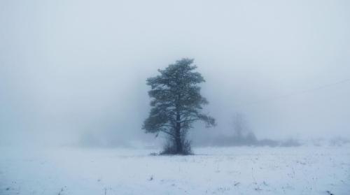 17Jan_Monteynard_12 - Xavier Delfosse