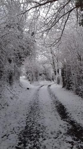 20210103_163354 - Antoine COTTE