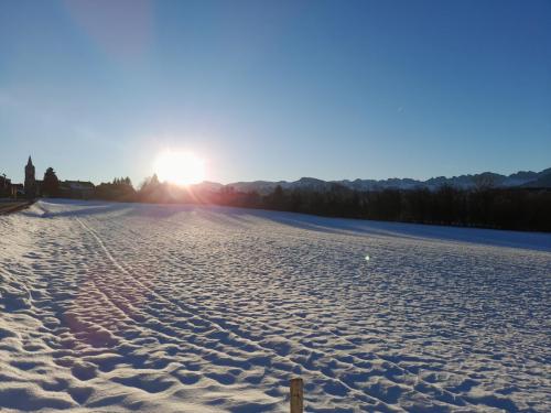 20250101_161705 - Antoine COTTE