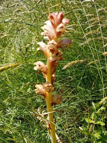 20250524_113155 - Julie Dumas