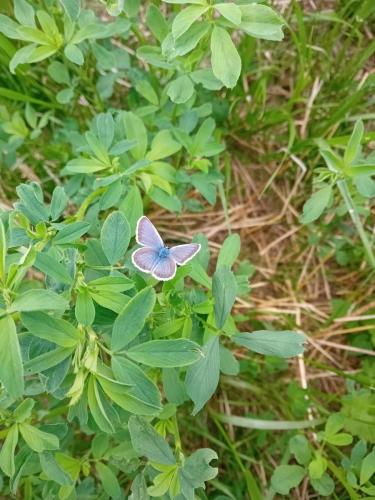 20250615_114156 - Julie Dumas