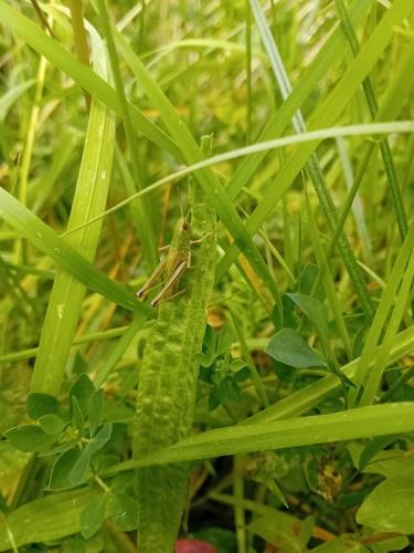 20250615_121903 - Julie Dumas