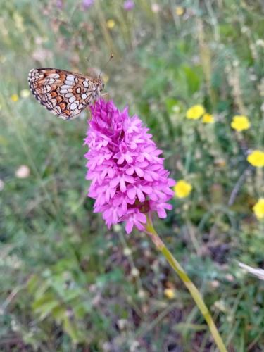 20250621_114606 - Julie Dumas