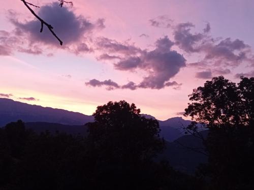 20250715_213648 - Julie Dumas