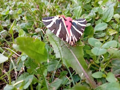 20250723_114245 - Julie Dumas