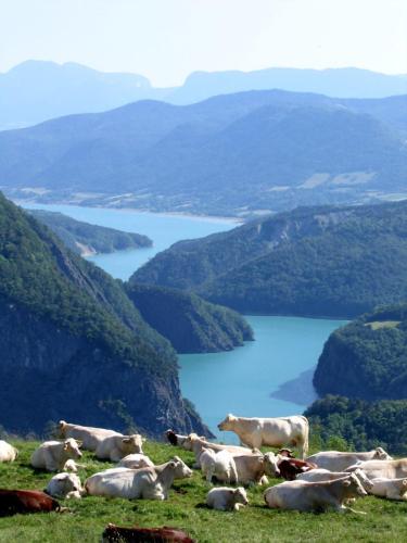 IMG_1414_ret - Xavier Delfosse