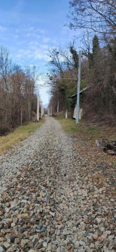 IMG_20240131_125922 - Estelle Fernandez