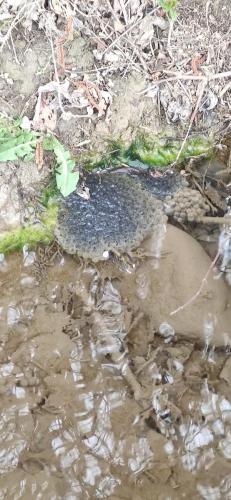 IMG_20240324_113124 - Estelle Fernandez