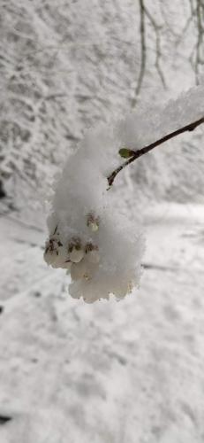 IMG_20240327_105854 - Estelle Fernandez