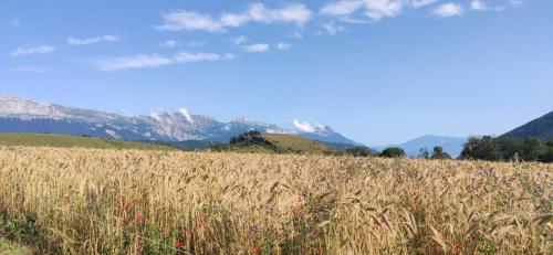 IMG_20240717_100233 - Estelle Fernandez