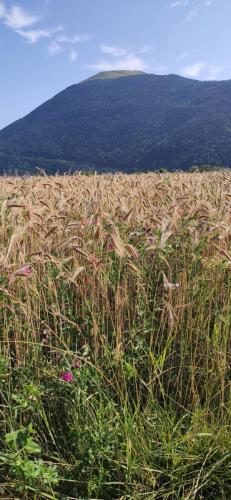 IMG_20240717_100528 - Estelle Fernandez