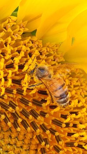 IMG_20240921_100918 - Magali Navarro