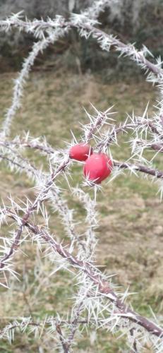 IMG_20250115_114841 - Estelle Fernandez