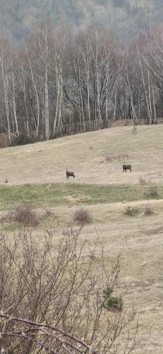 IMG_20250206_111634 - Estelle Fernandez