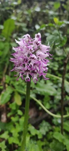 IMG_20250507_155733 - Estelle Fernandez