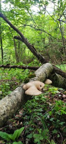 IMG_20250509_130352 - Estelle Fernandez