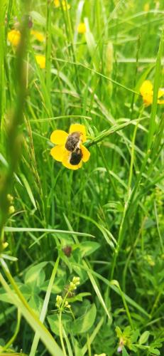 IMG_20250509_130814 - Estelle Fernandez