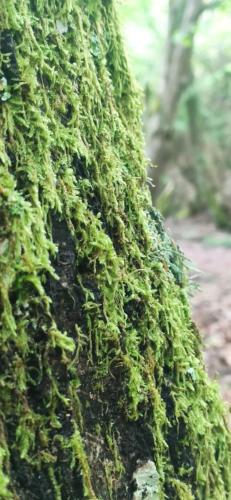 IMG_20250509_133117 - Estelle Fernandez