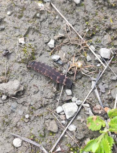 IMG_20250520_112852 - Estelle Fernandez