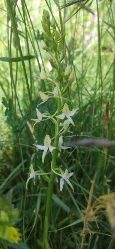 IMG_20250524_095327 - Estelle Fernandez