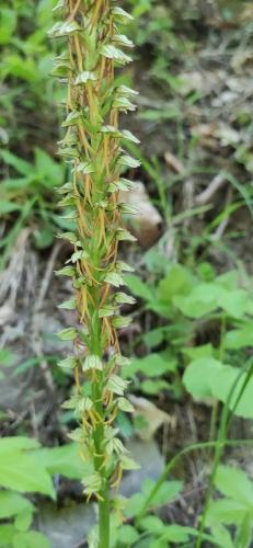 IMG_20250527_124104_1 - Estelle Fernandez