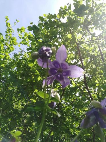 IMG_20250527_131152 - Estelle Fernandez