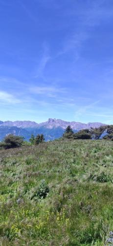 IMG_20250529_130609_1 - Estelle Fernandez