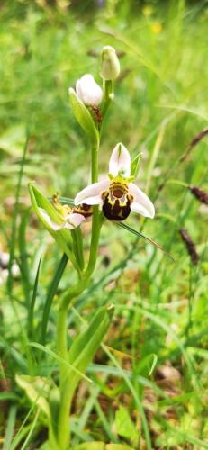 IMG_20250604_123443 - Estelle Fernandez