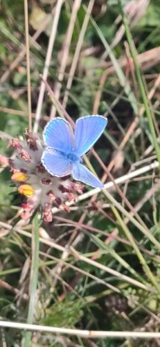 IMG_20250609_110957 - Estelle Fernandez