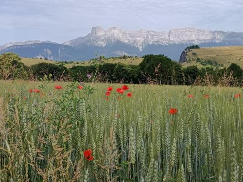 IMG_20250615_095314 - Cecile Genevey