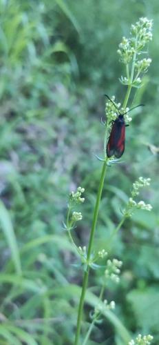 IMG_20250617_110704_1 - Estelle Fernandez