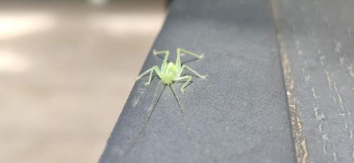 IMG_20250627_140508 - Estelle Fernandez