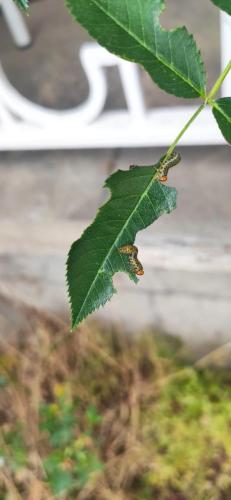 IMG_20250630_182343 - Estelle Fernandez