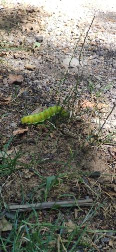 IMG_20250716_120950 - Estelle Fernandez