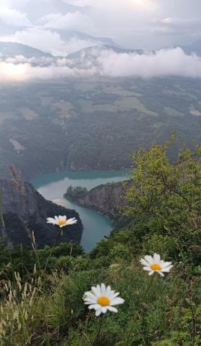 IMG_20251007_104755 - Cecile Genevey