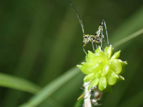 P5260049 - Matias Delfosse Allain