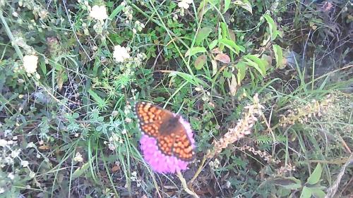 Petits_Eplorateurs_3ème