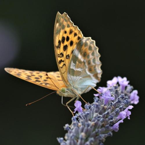 freezetimephil_1660736855_2906793882415689475_40468907224 - Valentine ROCHETTE