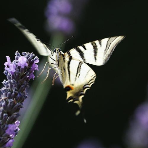 freezetimephil_1660736855_2906793882432411354_40468907224 - Valentine ROCHETTE